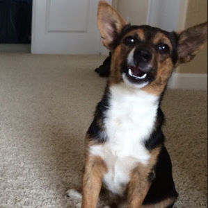 Meet your Posher, Kaelah